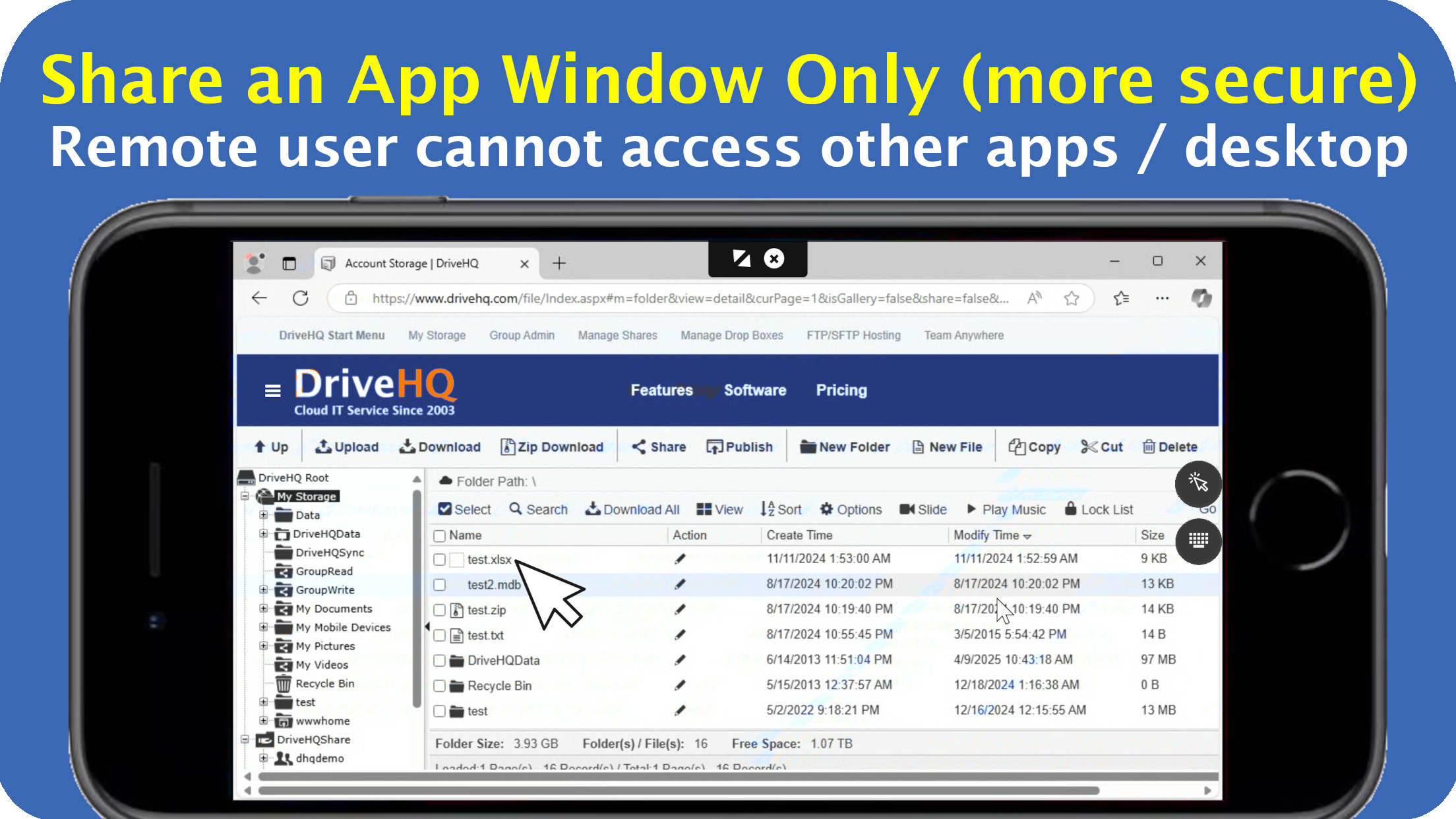 DriveHQ Team Anywhere